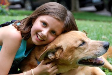犬と人間の関係は何時から始まった？
